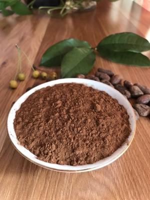Fine Organic Alkalized Brown Cocoa Powder Negative Pathogenic Bacteria