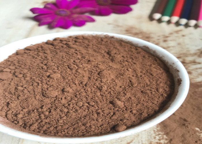 Dark Brown ≥99 Alkalized Cocoa Powder With Characteristic Cocoa Flavour